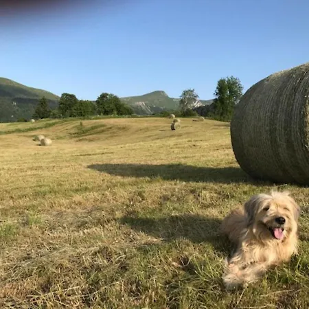 Mont-dore - Avec Balcon, Parking, Wifi Inclus - Fr-1-608-93