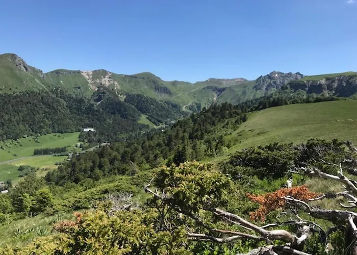 Apartment Mont-dore - Avec Balcon, Parking, Wifi Inclus - Fr-1-608-93