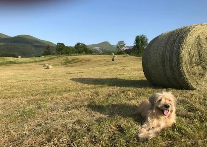 Mont-dore - Avec Balcon, Parking, Wifi Inclus - Fr-1-608-93