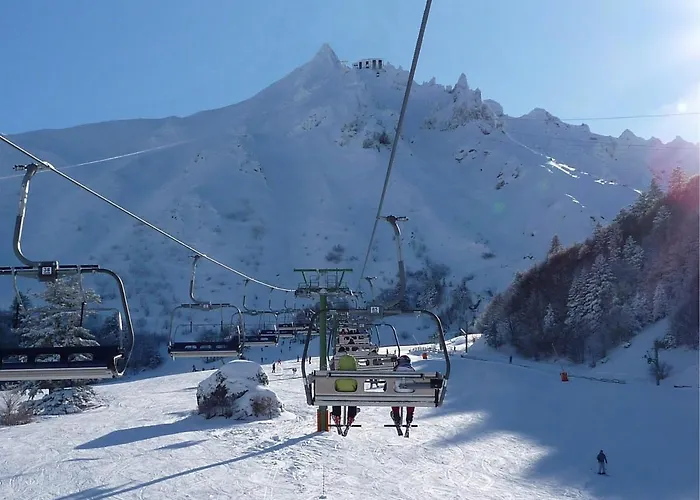 Mont-dore - Avec Balcon, Parking, Wifi Inclus - Fr-1-608-93 Apartment Le Mont-Dore